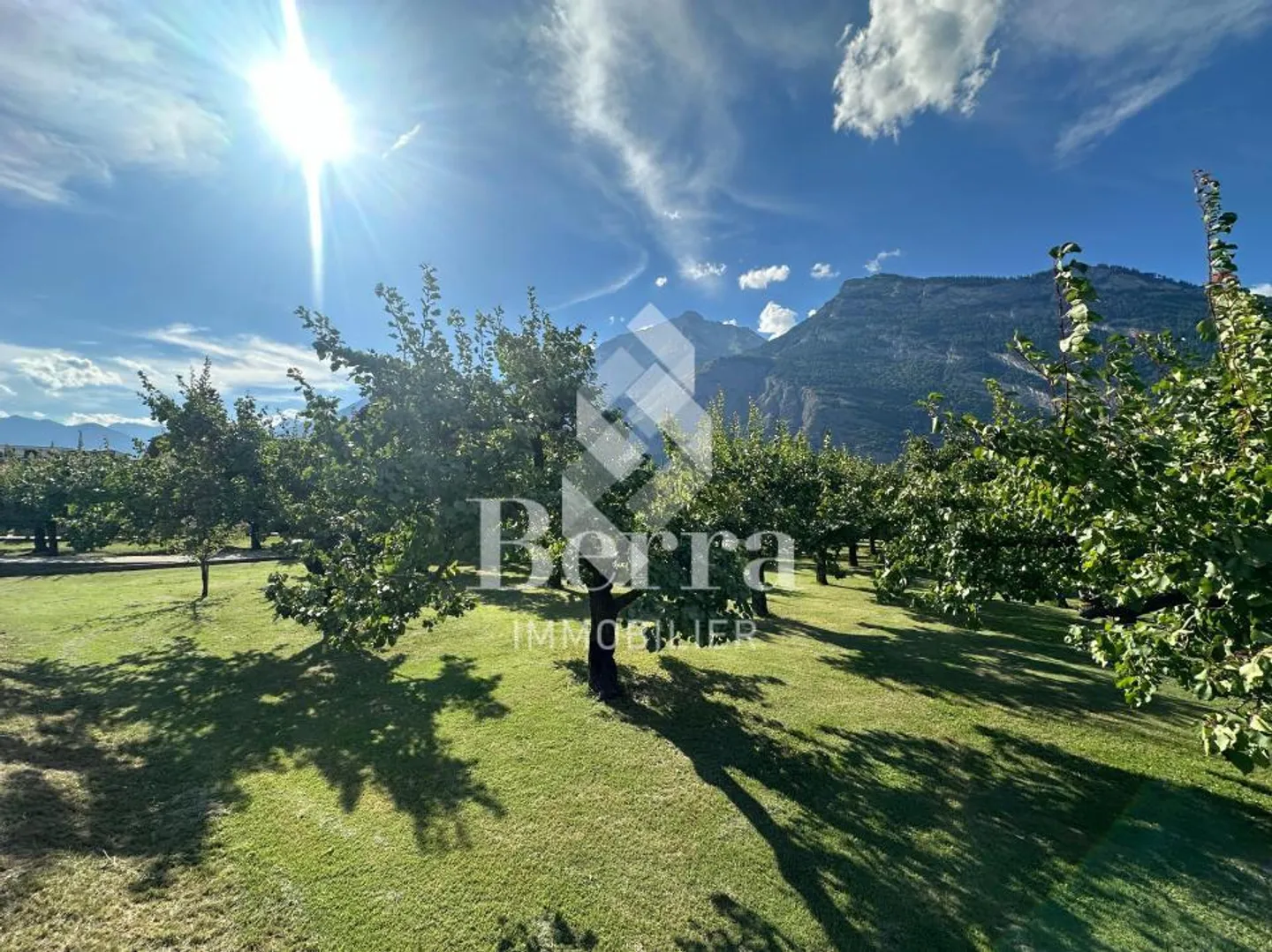 La proprietà Luizet - Foto 9 di 13