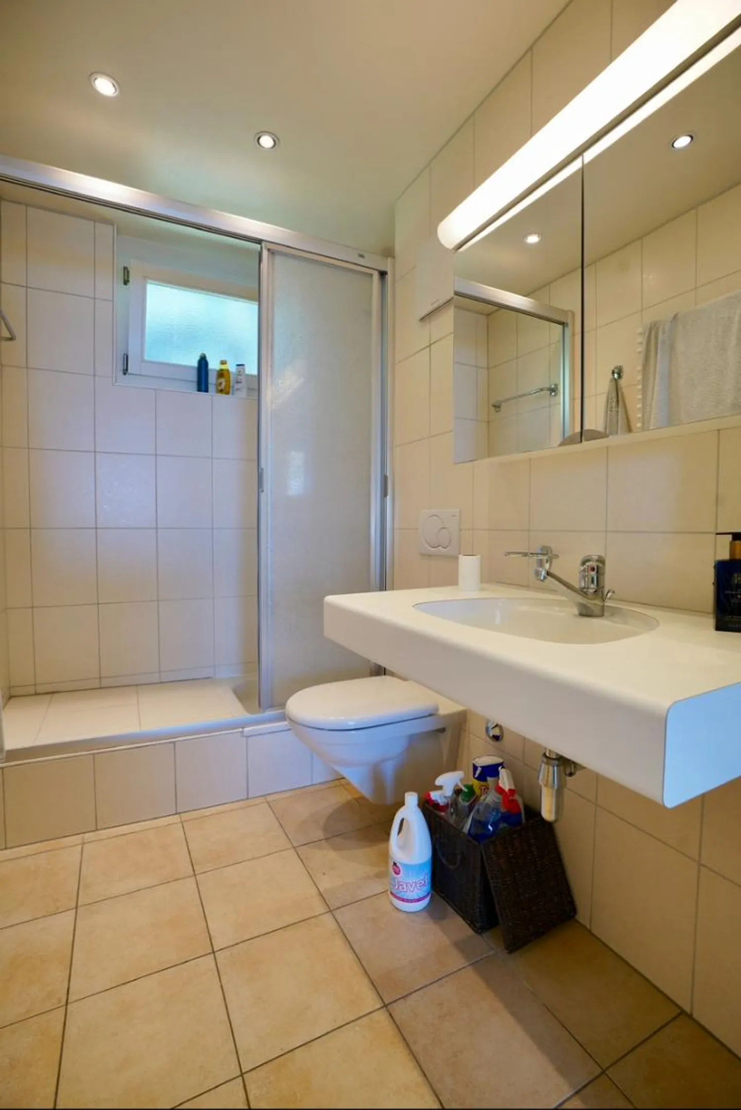 Attique 4.5 pièces - Photo 17 sur 19