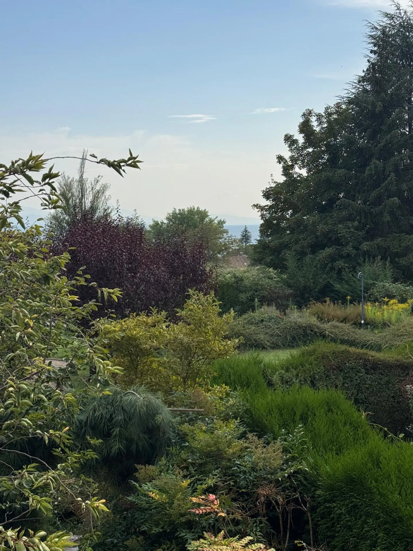 Apartment for sale - Photo 6 of 13