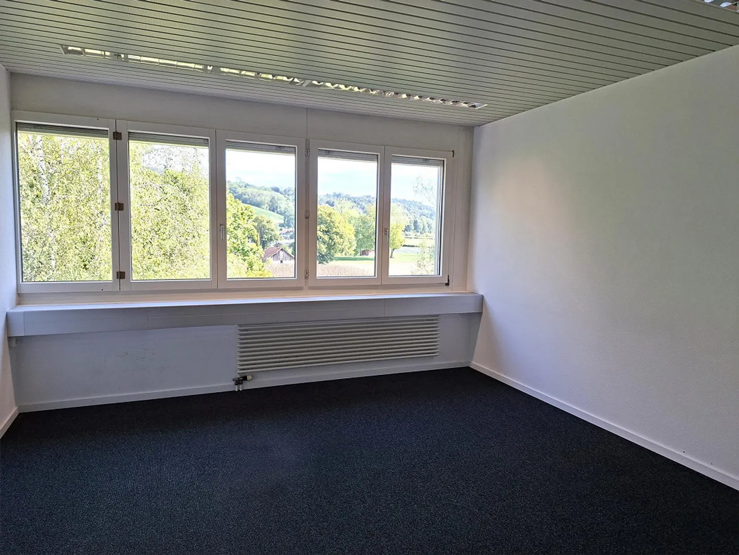 Office / Commercial Space in the East of Weinfelden - Photo 6 of 12