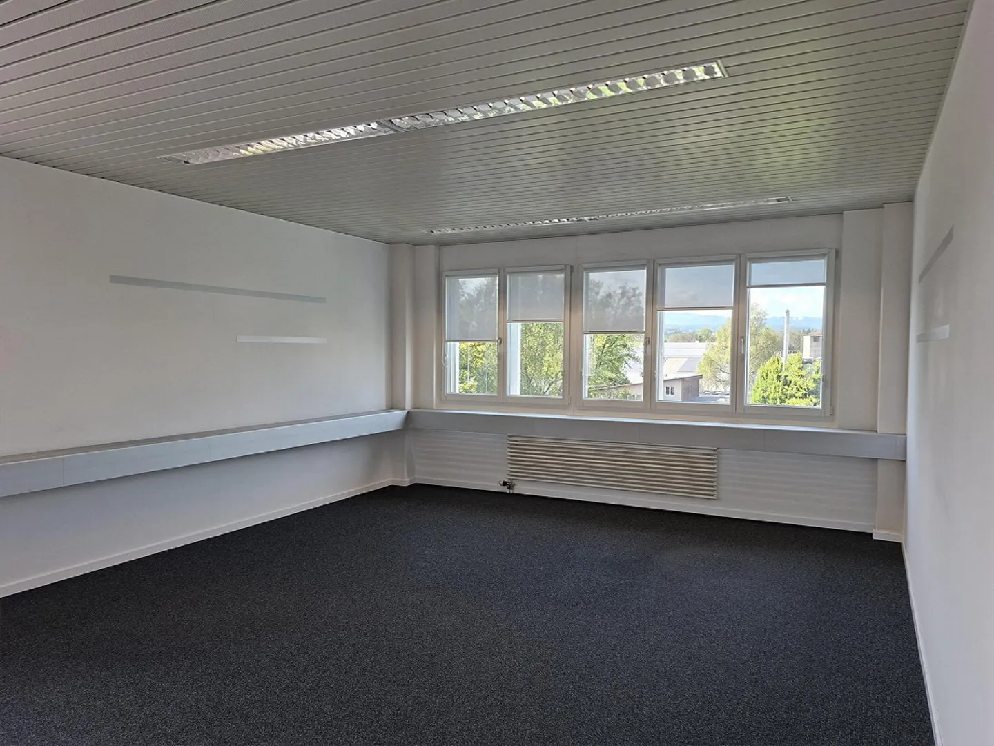 Office / Commercial Space in the East of Weinfelden - Photo 10 of 12