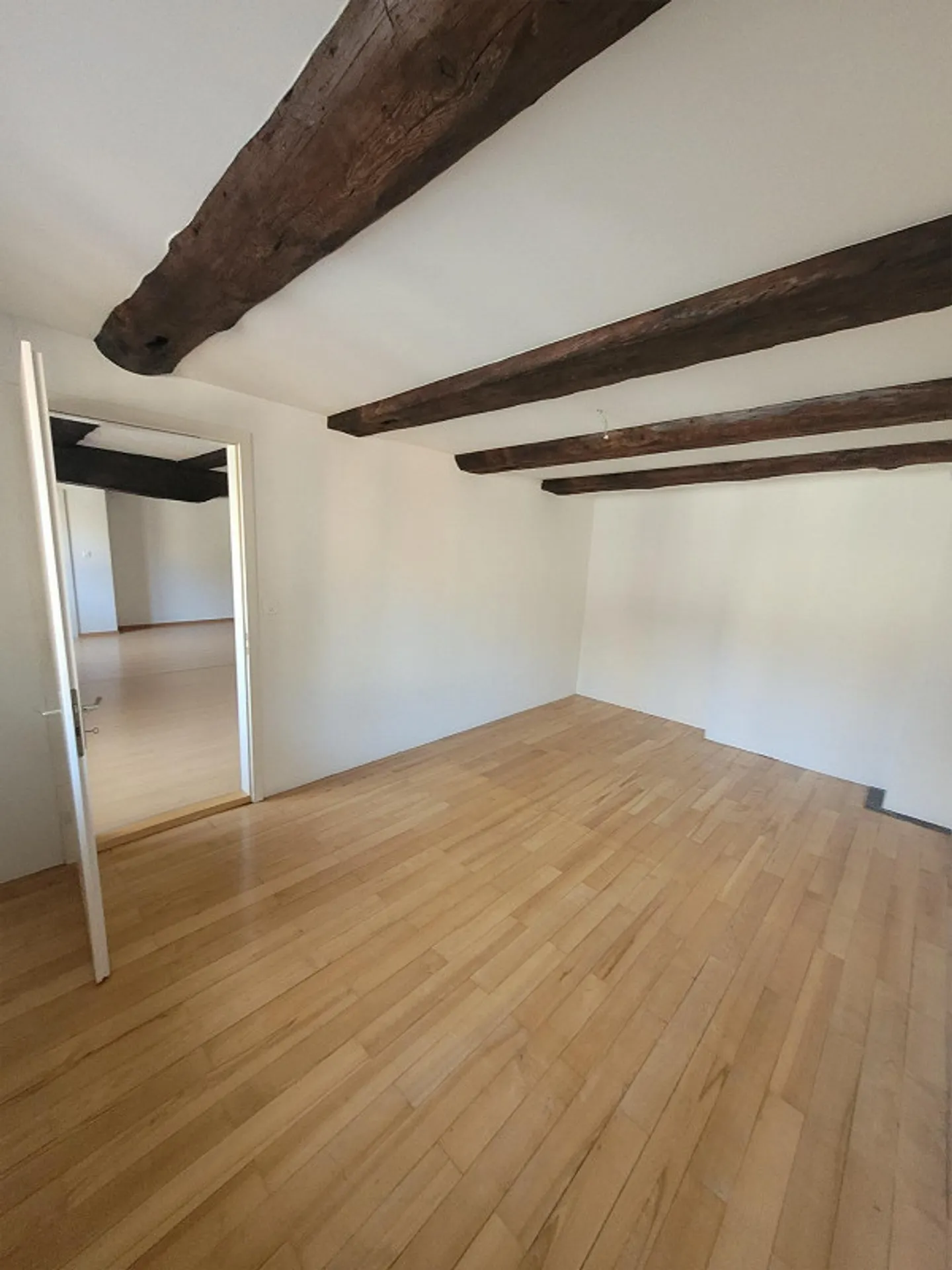 Incantevole appartamento in posizione centrale a Schaffhausen - Foto 5 di 11