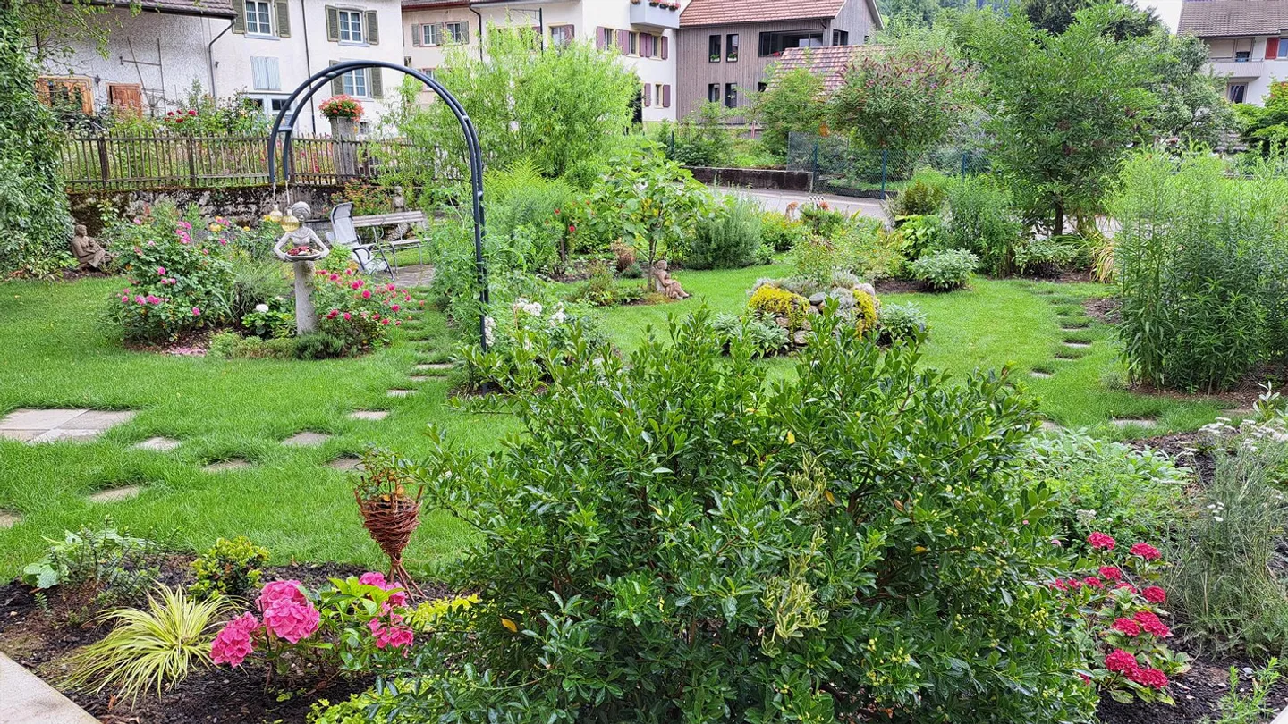 3.5 Room Terrace Apartment - Photo 23 of 30