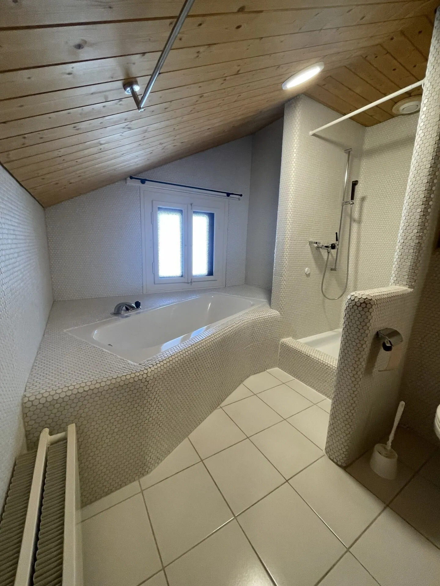 3.5 Room Attic Apartment - Photo 18 of 27