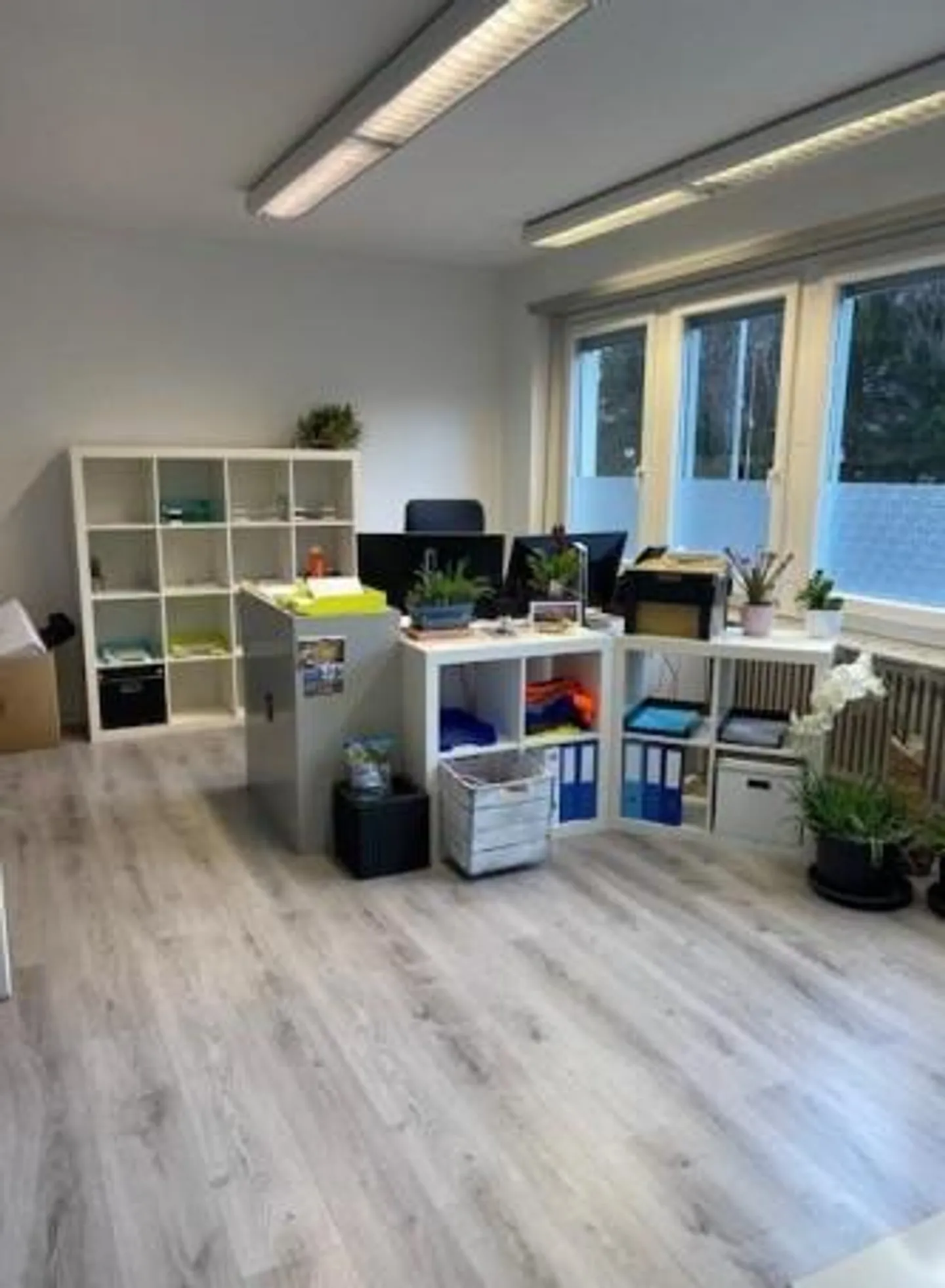 Office with Living Space - Photo 6 of 19
