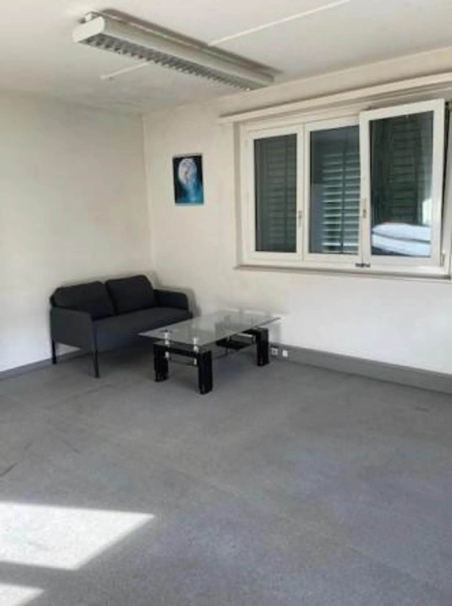 Office with Living Space - Photo 11 of 19