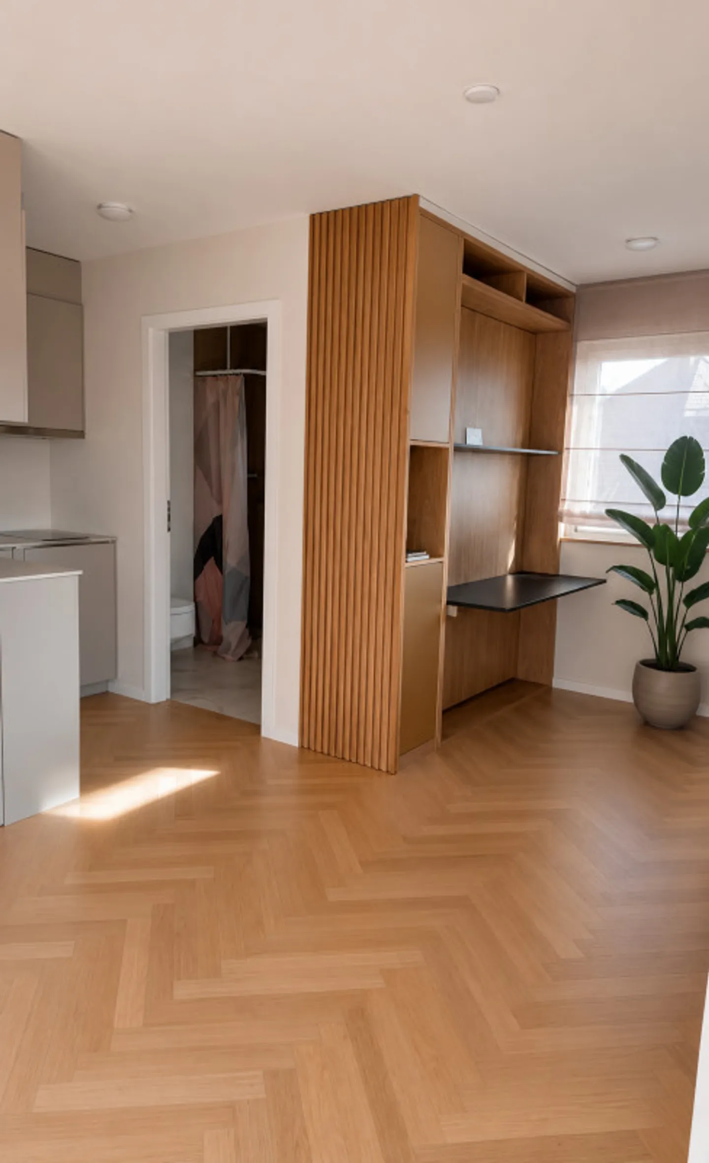 1.5 Room Apartment - Photo 2 of 5