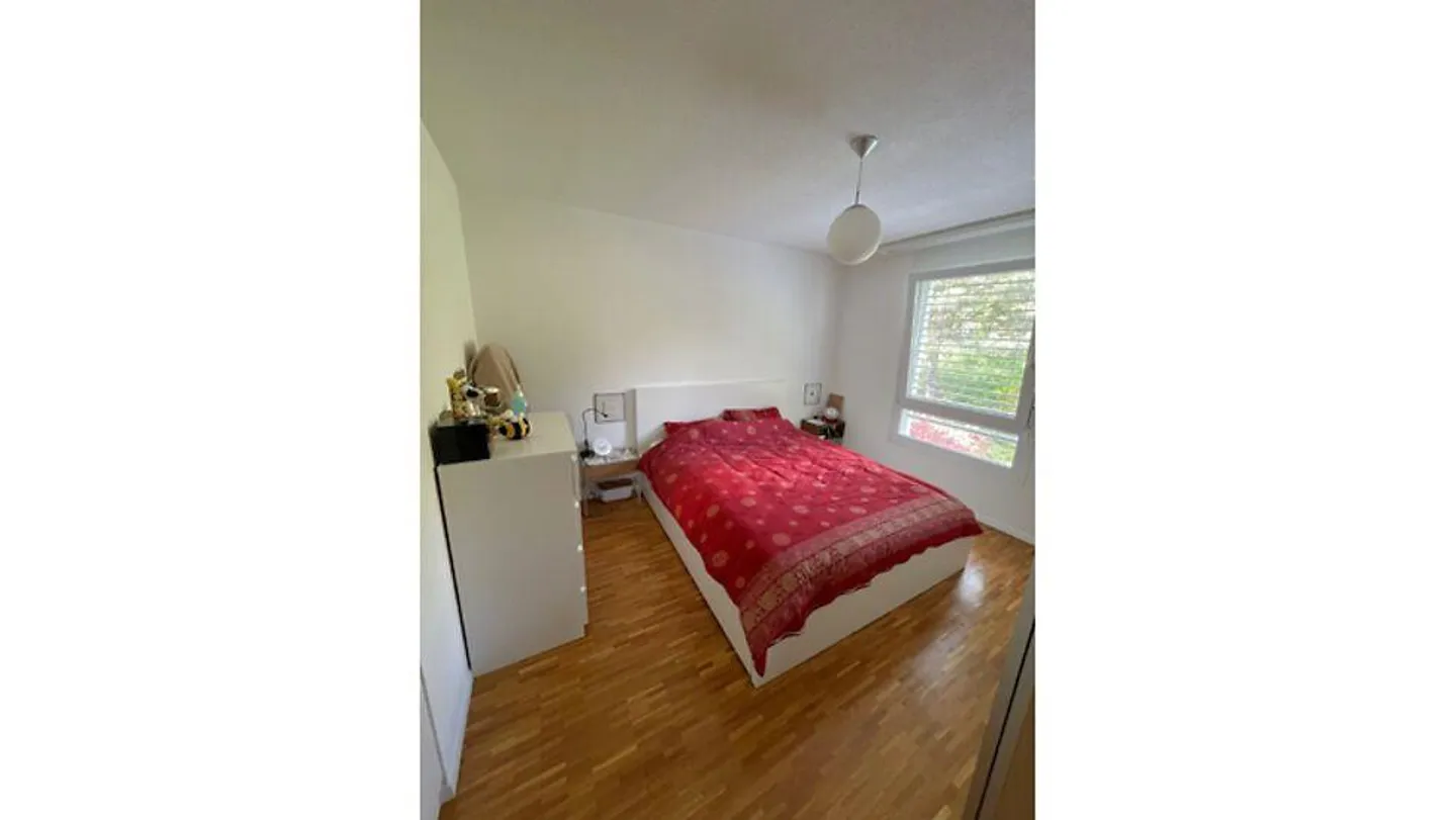 4½ ROOM APARTMENT IN LUTRY (VD), FURNISHED, FIXED TERM - Photo 5 of 9