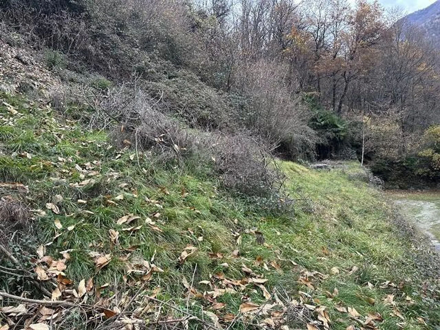 4-room rustic to renovate with large meadow and forest property - Photo 9 of 19