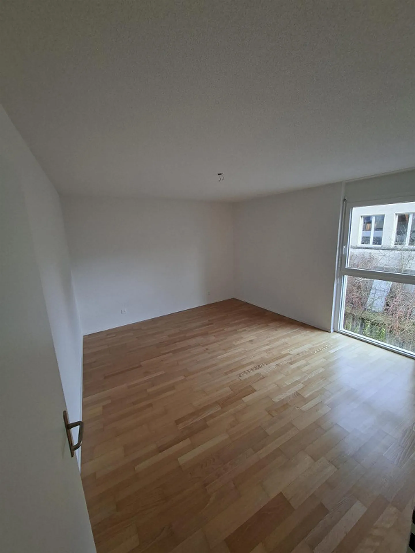 3.5 Room Apartment - Photo 3 of 8