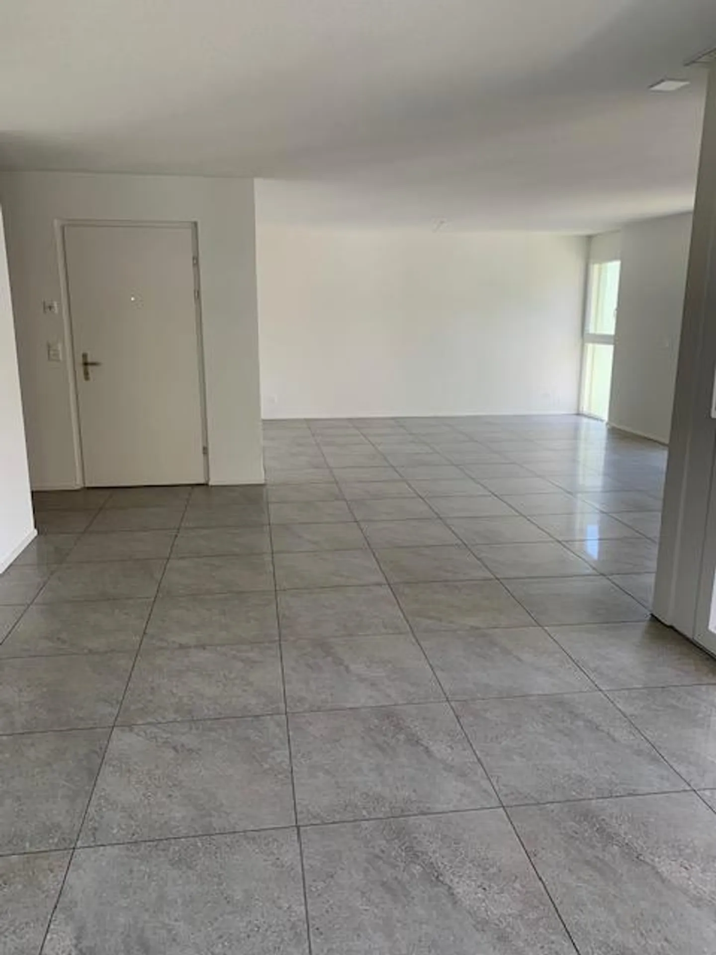 3.5 Room Apartment - Photo 5 of 8