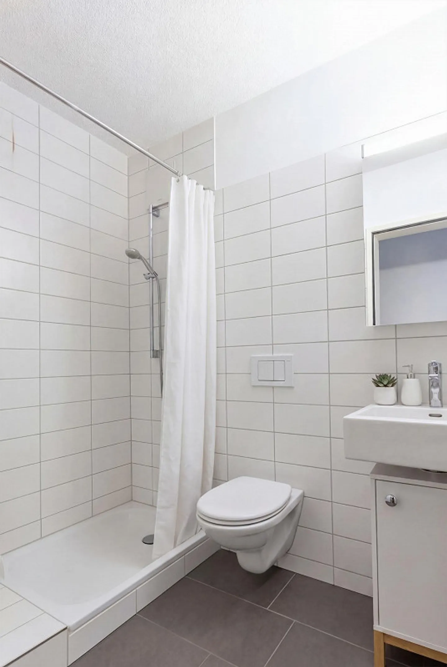 Esclusivo appartamento attico di 5,5 stanze a Magden 2.1 - Foto 5 di 14