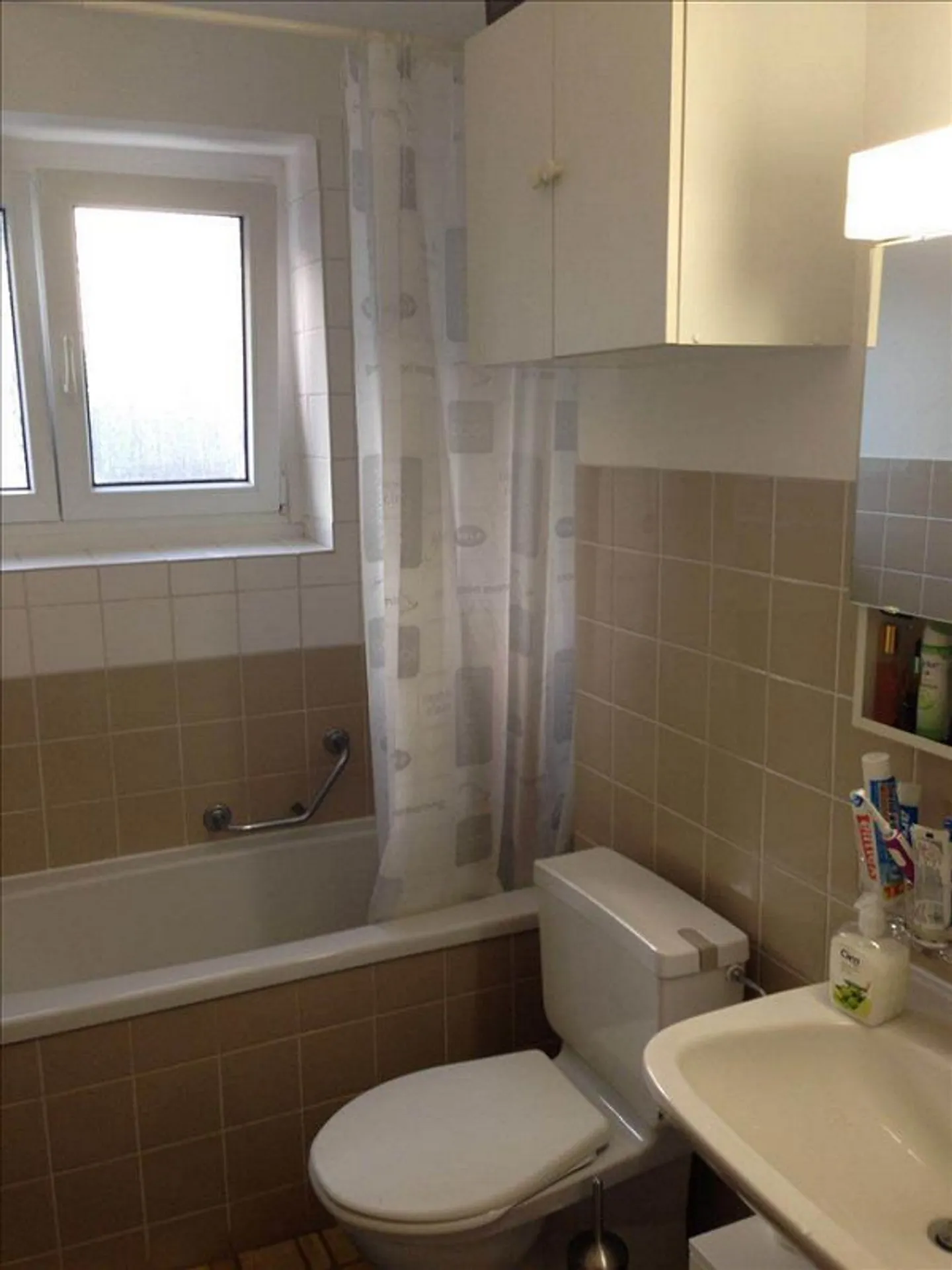 AFFITTARE SENZA CAUZIONE - Tranquillo e vicino al Birs a Birsfelden - Foto 3 di 4