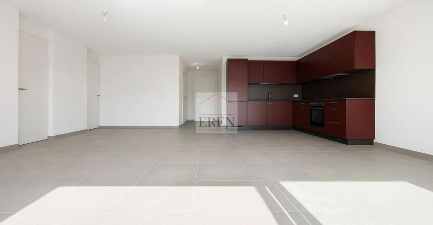 Superb 3.5 Room Apartment with Large 40m2 Balcony-Terrace on the 2nd Floor - Photo 3 of 11