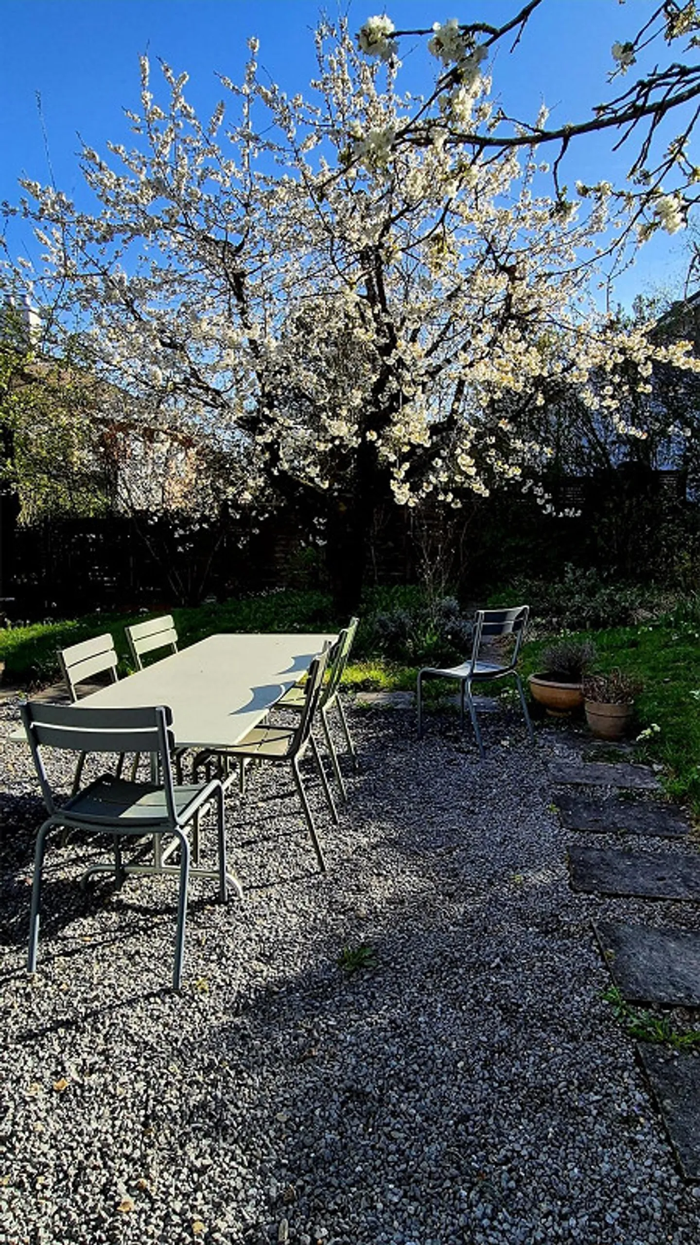Charmante maison individuelle avec jardin à Spiegel près de Berne - Photo 3 sur 12