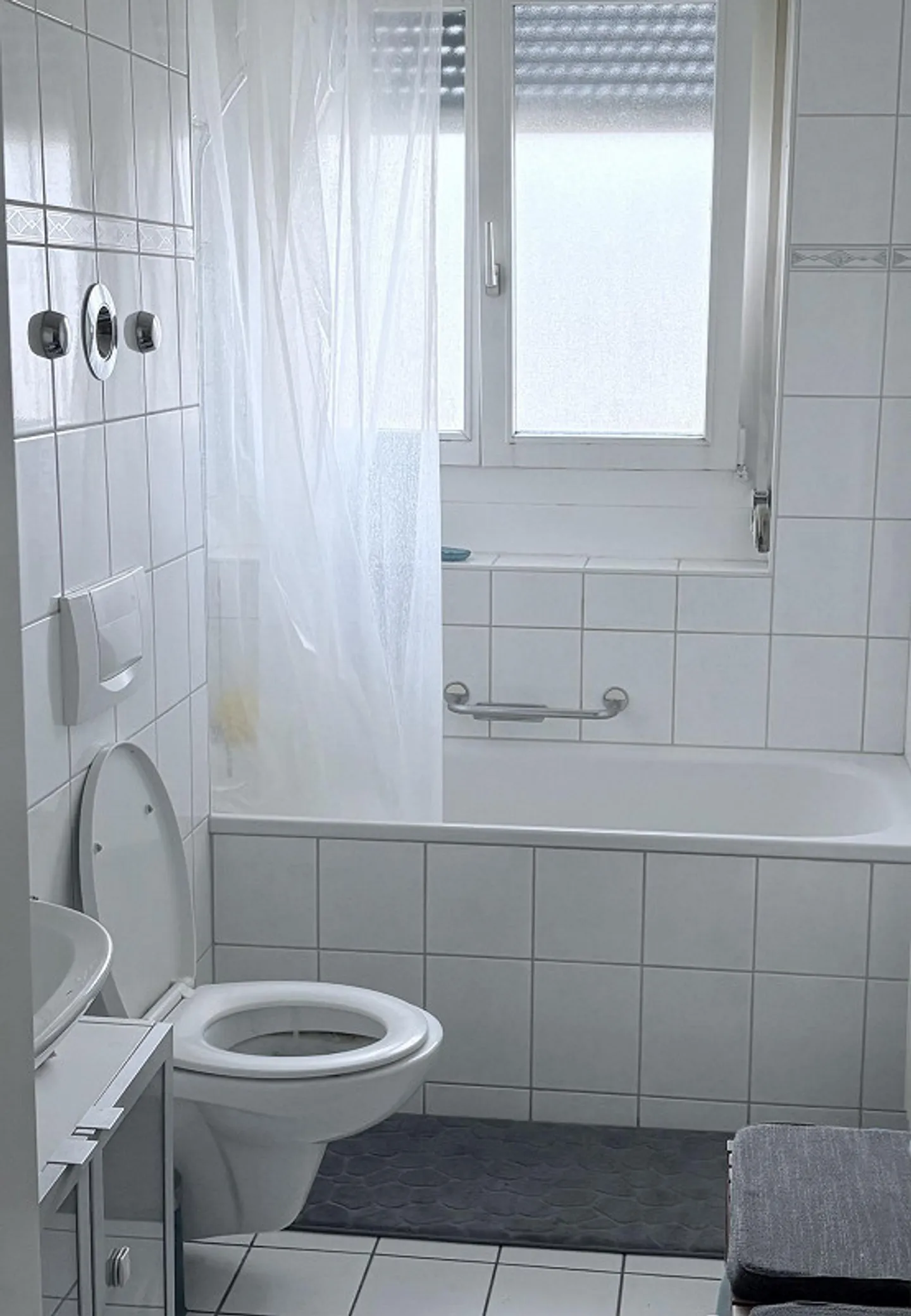 3.5 Rooms - Photo 5 of 8