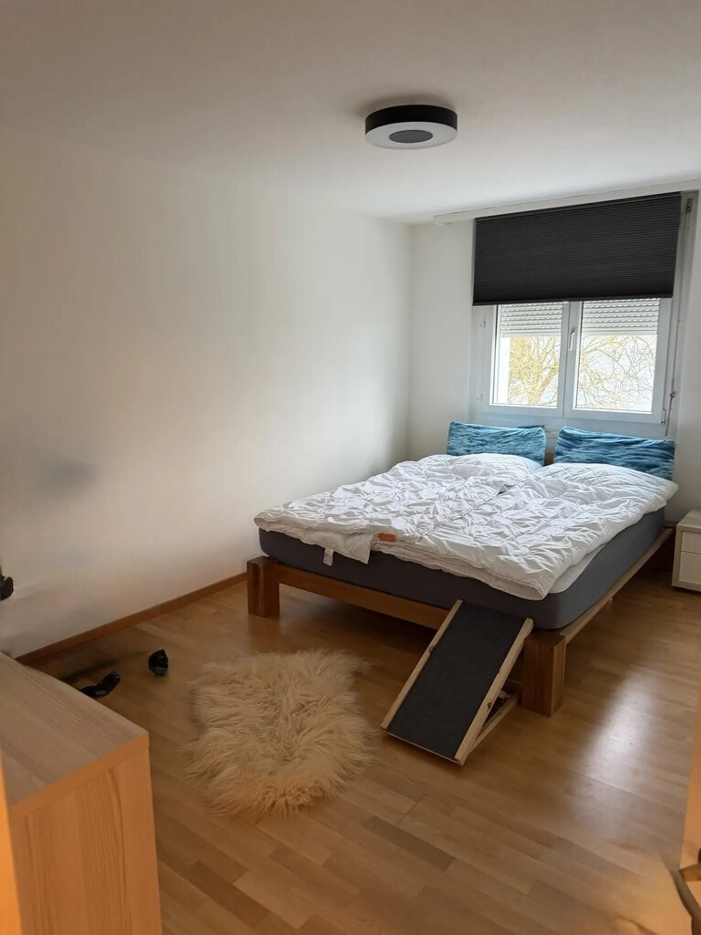Charmante Wohnung in Dübendorf - Foto 2 von 6