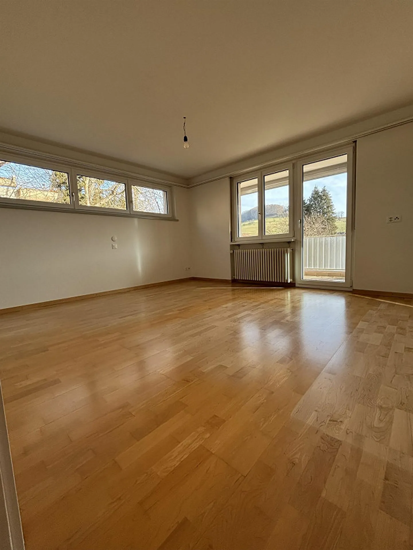 Appartamento 2.5 stanze ristrutturato con ingresso separato - Foto 3 di 9