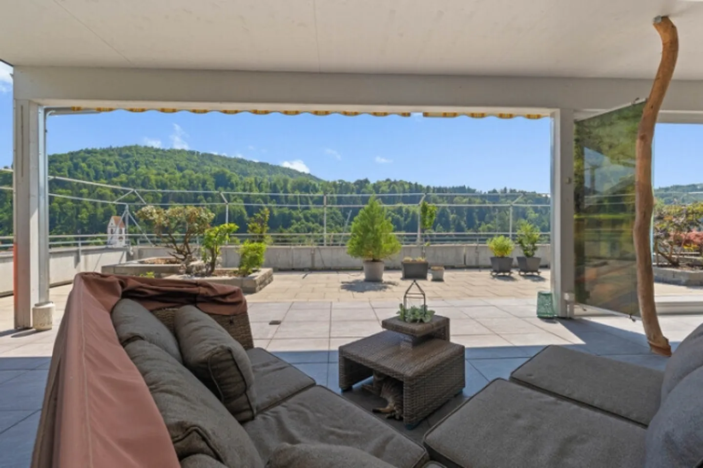 ELEGANT TERRACE SPECTACLE - Photo 4 of 8