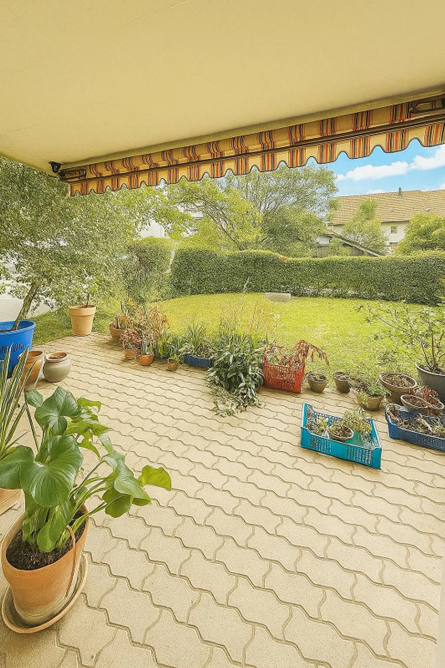 Appartamento affascinante 2.5 camere con area giardino limitata fino al 30.06.2026 - Foto 6 di 7