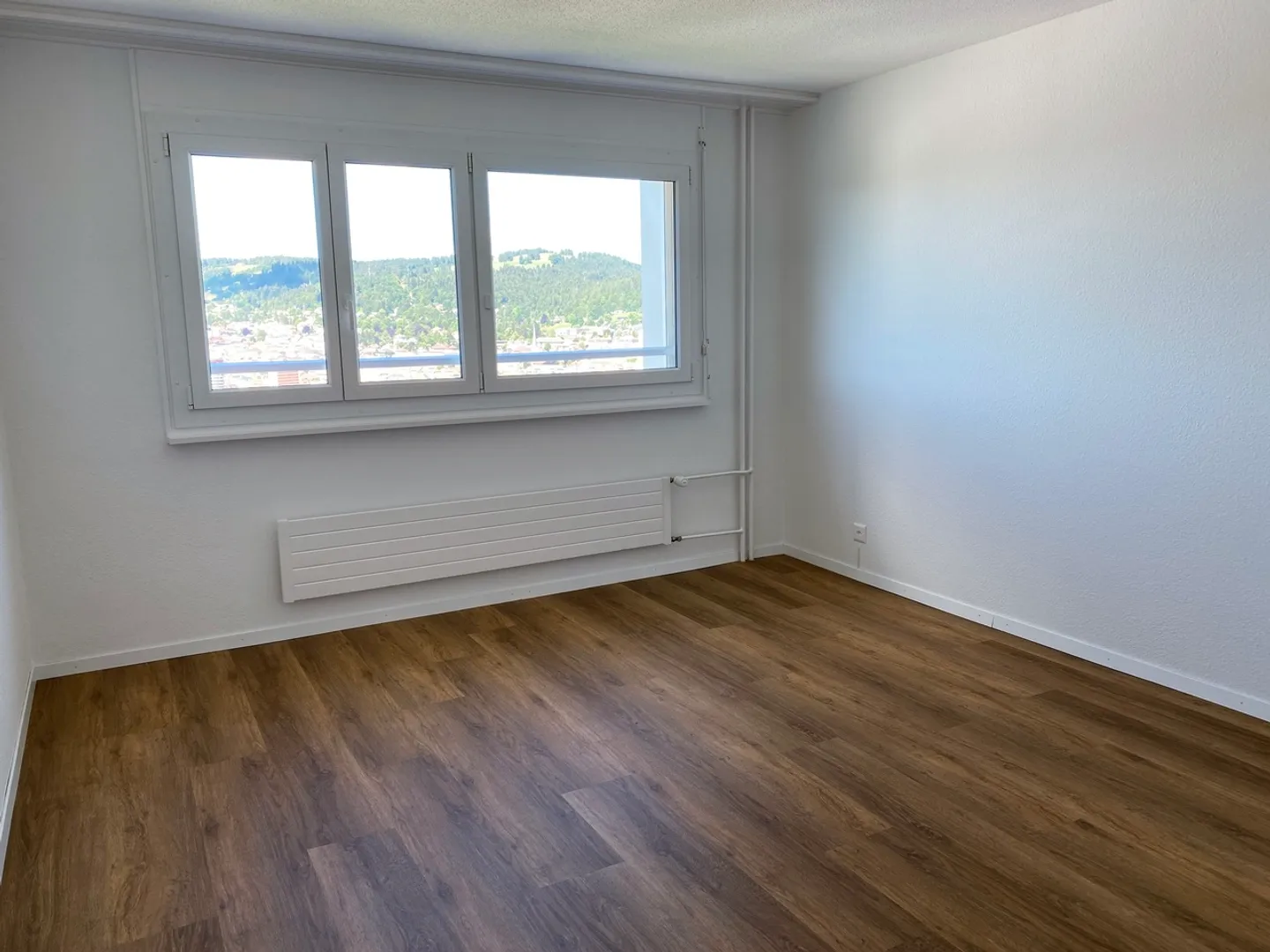 Fully renovated 4.5-room apartment with stunning views! - Photo 4 of 8