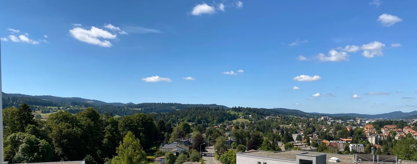 Fully renovated 4.5-room apartment with stunning views! - Photo 8 of 8