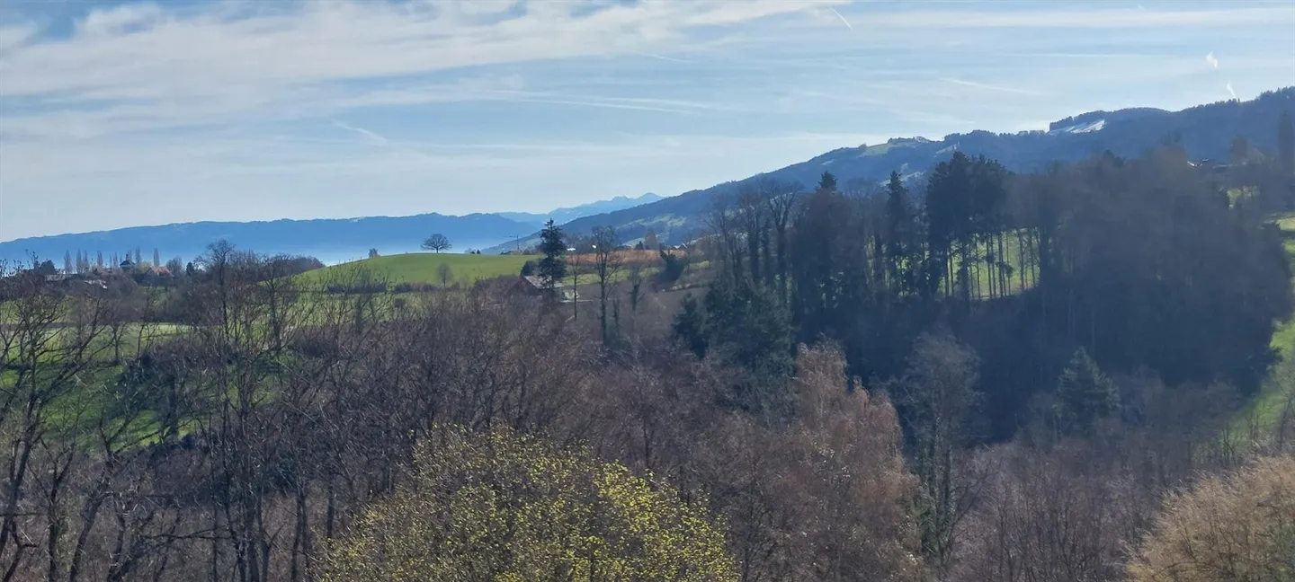 Helle 4.5-Zimmer-Wohnung - Foto 3 von 11