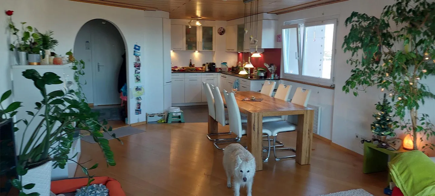 Helle 4.5-Zimmer-Wohnung - Foto 11 von 11