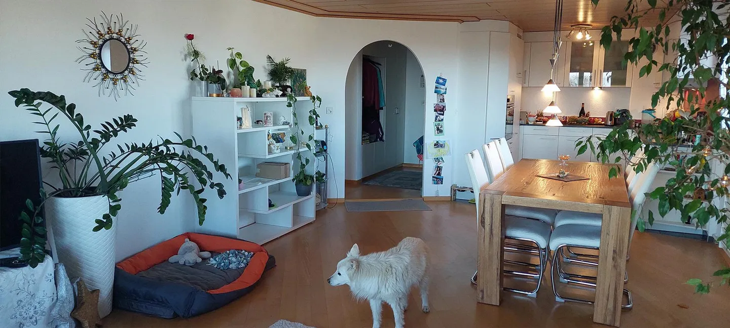 Helle 4.5-Zimmer-Wohnung - Foto 10 von 11