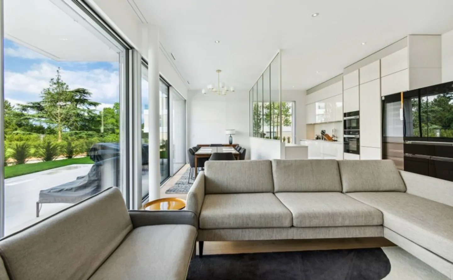 APARTMENT WITH TERRACE AND GARDEN IN COLOGNY - Photo 2 of 11