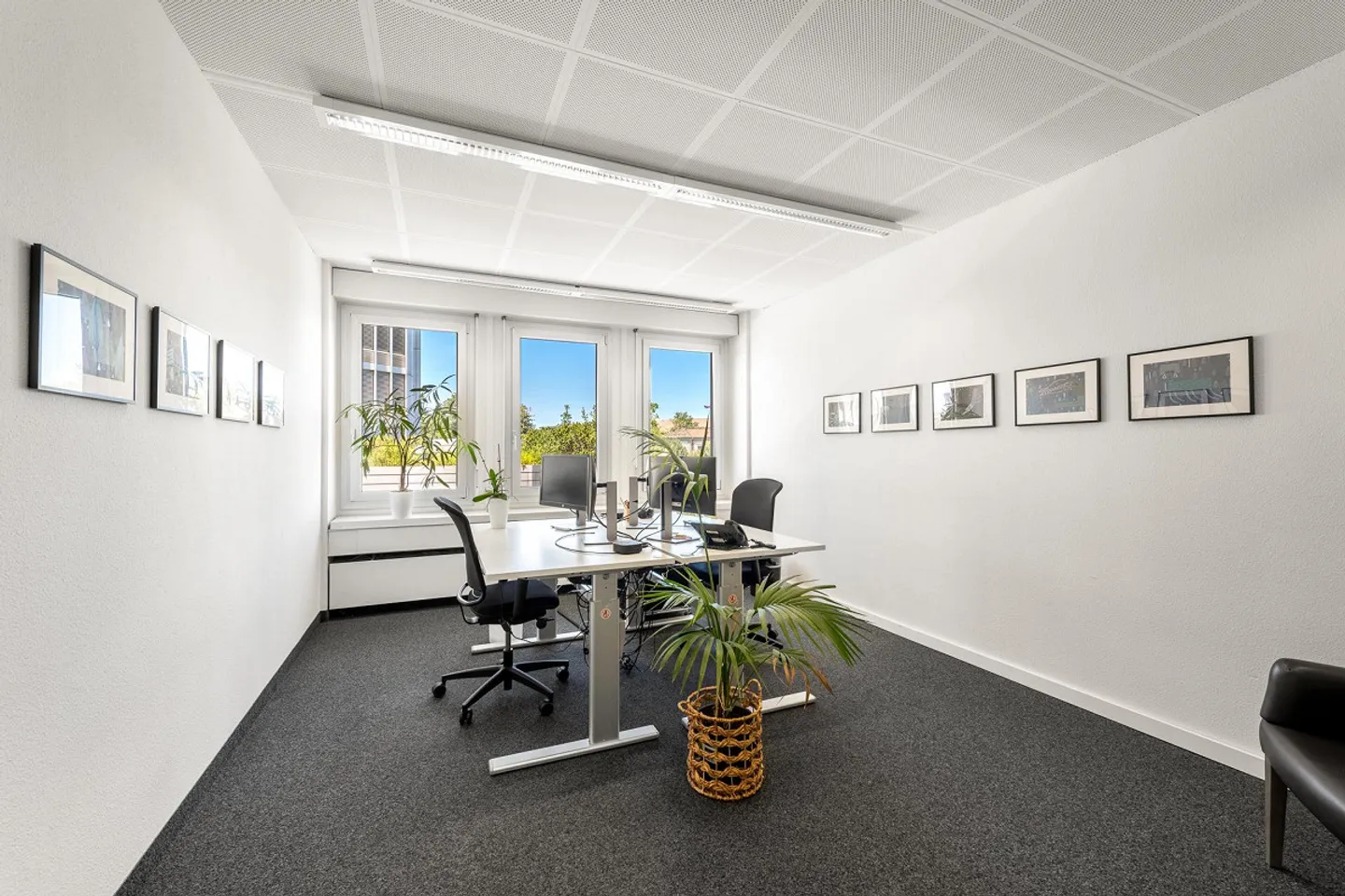 Modern developed office spaces in the heart of Zurich - Photo 6 of 13