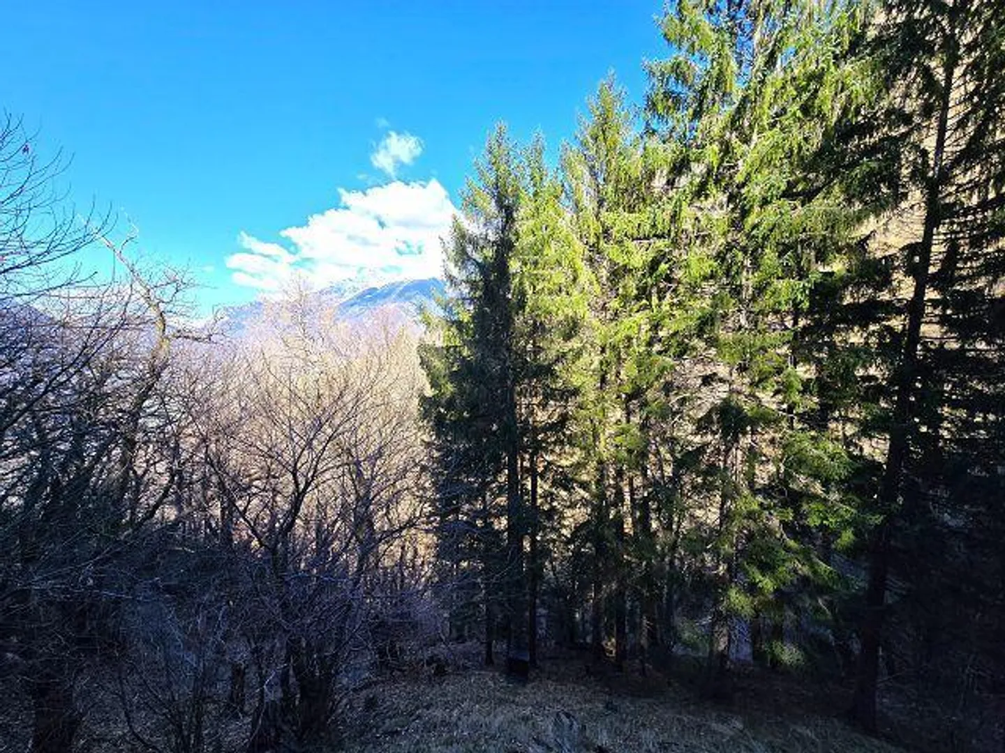 Cottage de 3 pièces au milieu de la nature avec petit jardin - Photo 23 sur 36