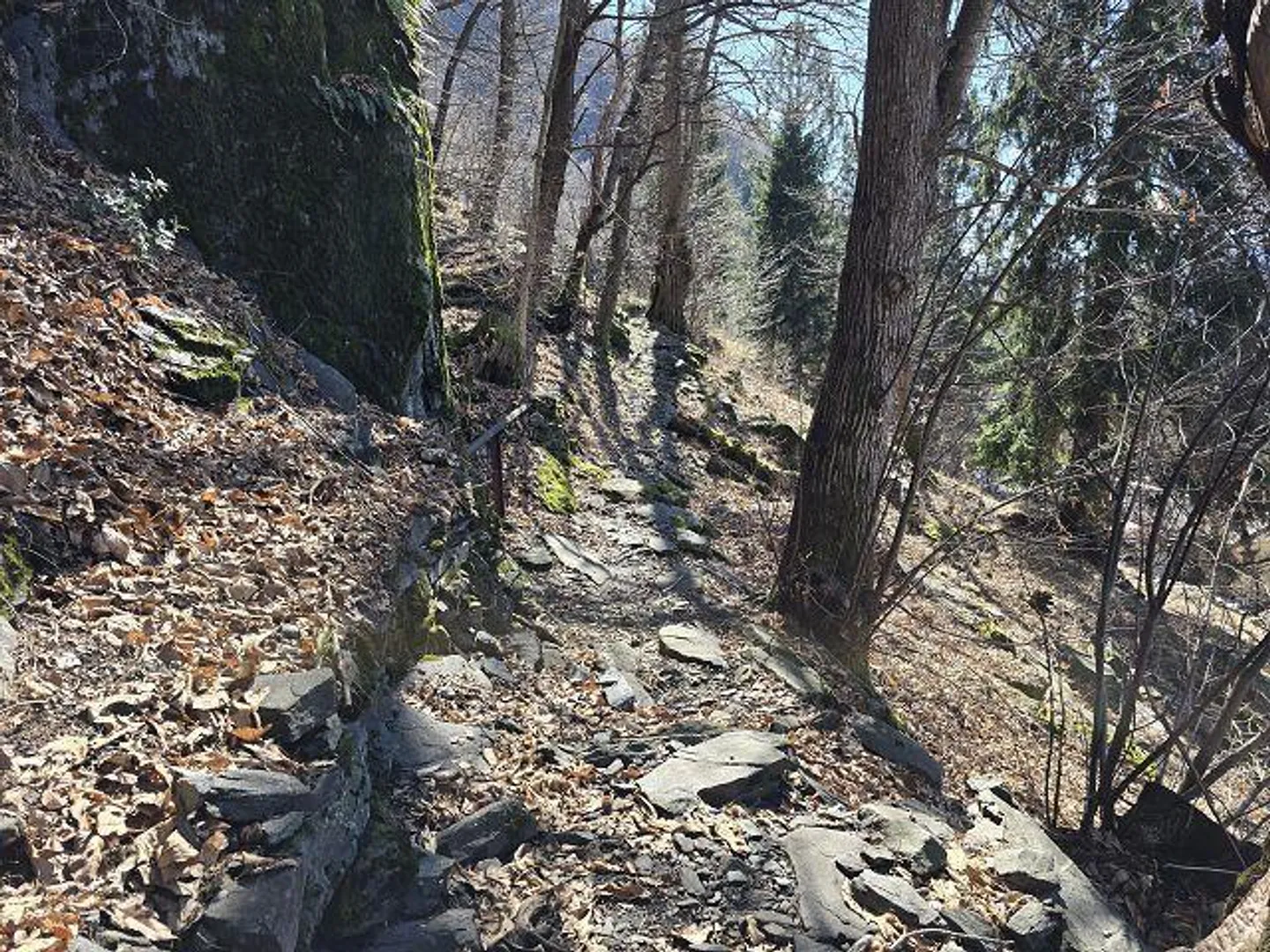 Cottage de 3 pièces au milieu de la nature avec petit jardin - Photo 36 sur 36