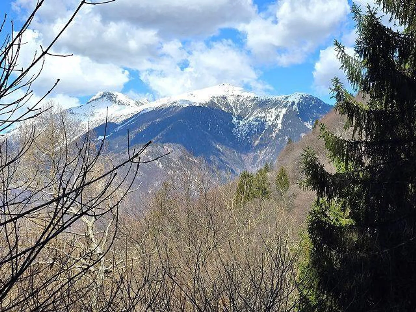Cottage de 3 pièces au milieu de la nature avec petit jardin - Photo 22 sur 36