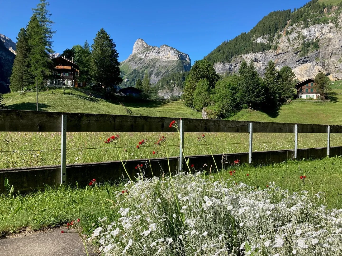 Appartamento 1 camera al piano terra sud-est - Foto 10 di 15