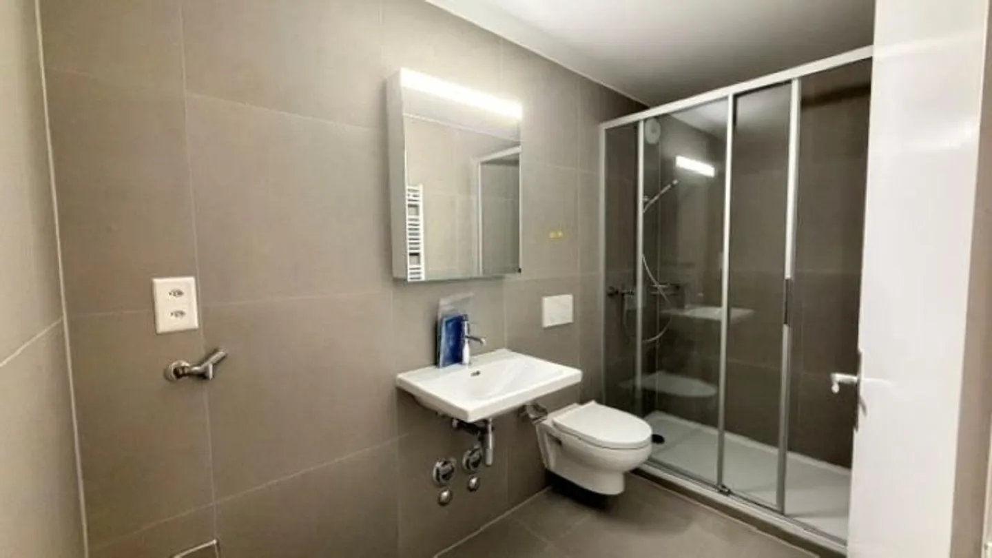 Appartement Rénové Près du Lac - Photo 3 sur 4