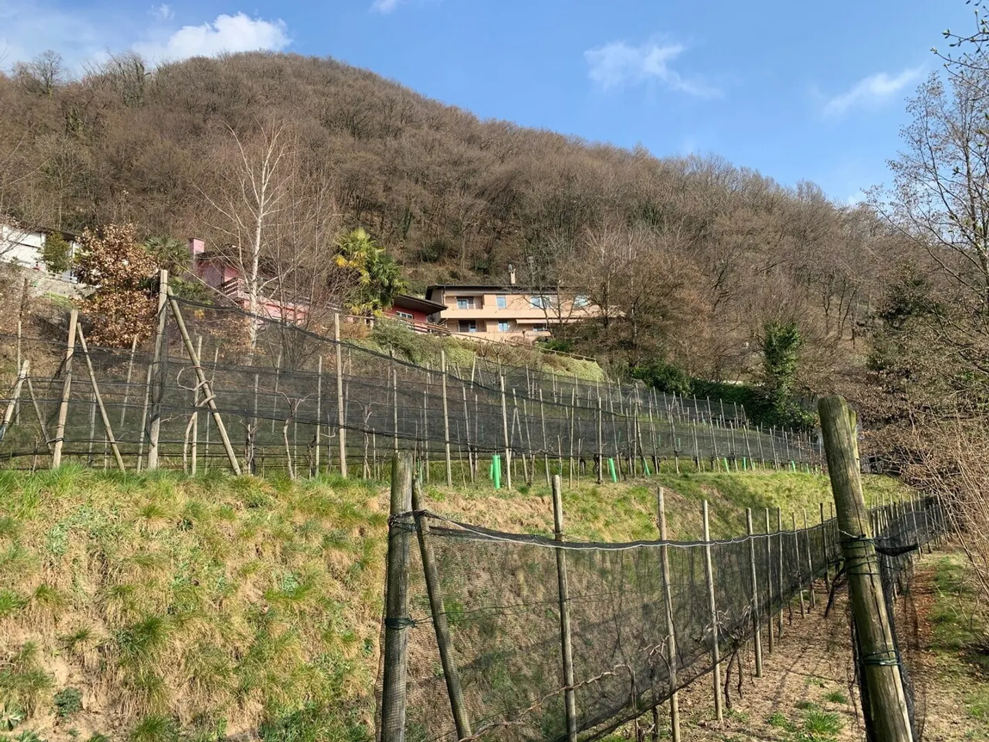 Terreno edificabile soleggiato - Foto 1 di 5