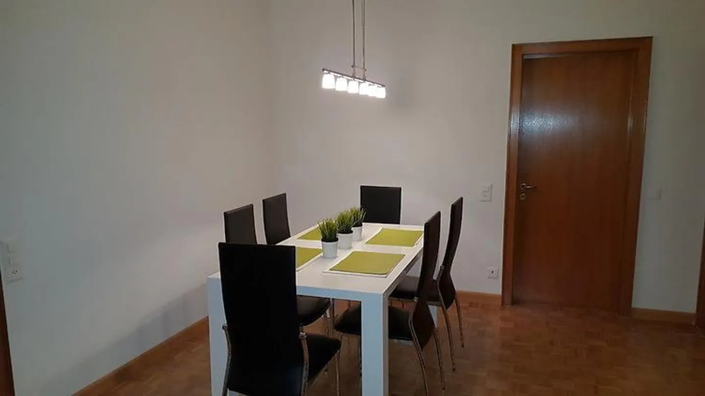 APPARTAMENTO 3½ LOCALI A BASEL - SPALEN, ARREDATO - Foto 3 di 9
