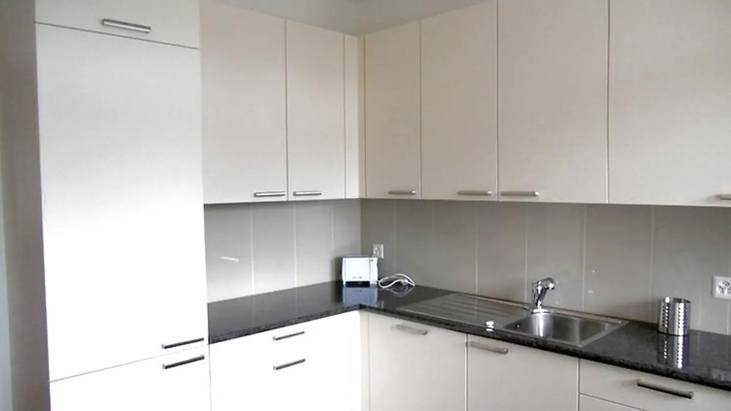 APPARTAMENTO 3½ LOCALI A BASEL - SPALEN, ARREDATO - Foto 5 di 9