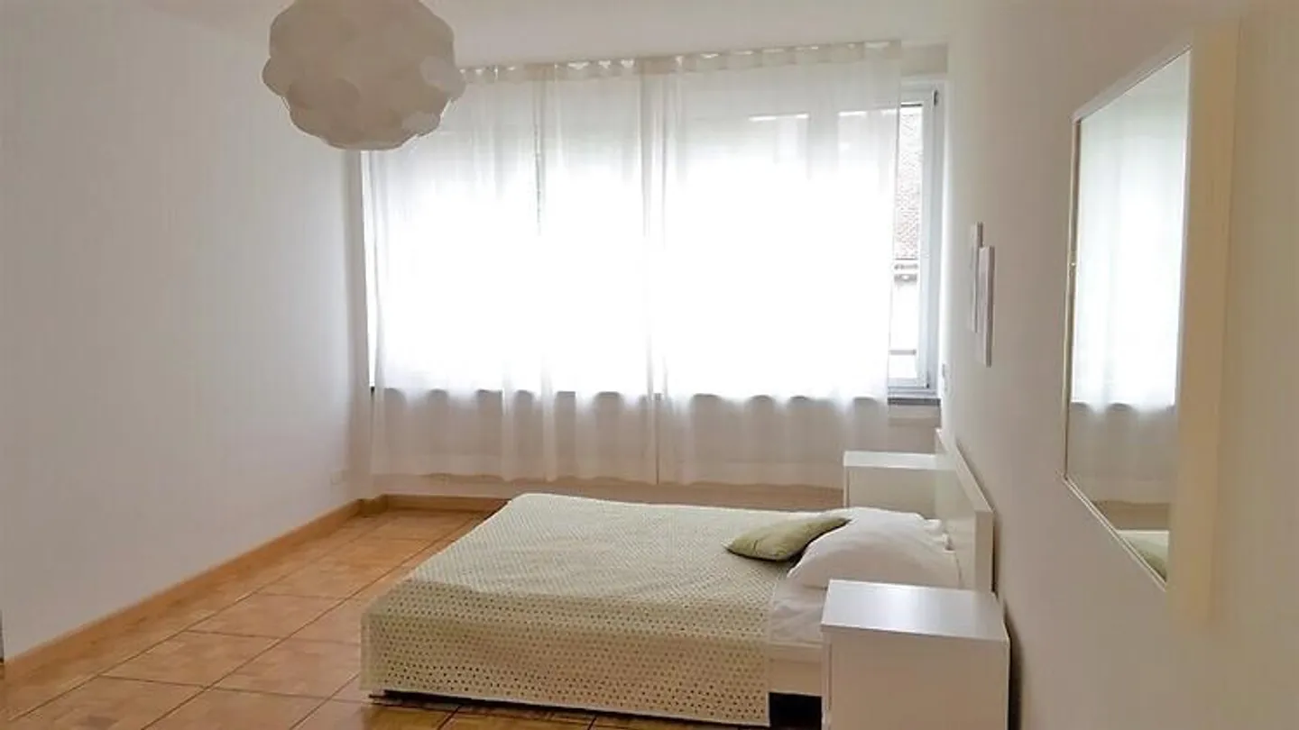 APPARTAMENTO 3½ LOCALI A BASEL - SPALEN, ARREDATO - Foto 1 di 9