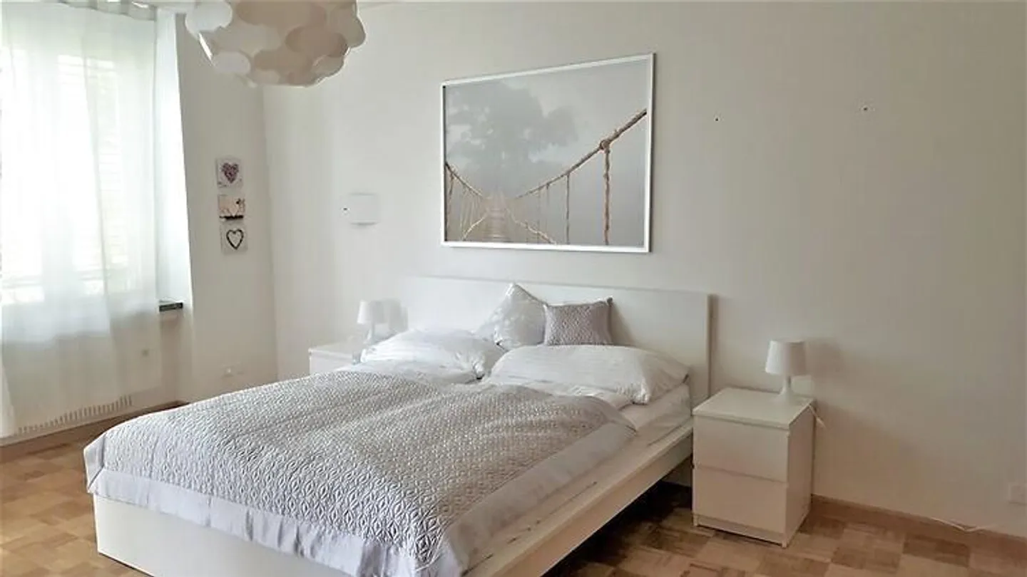 APPARTAMENTO 3½ LOCALI A BASEL - SPALEN, ARREDATO - Foto 6 di 9