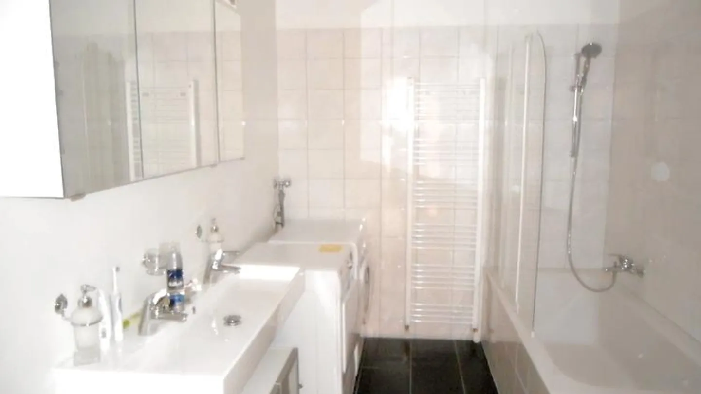 APPARTAMENTO 3½ LOCALI A BASEL - SPALEN, ARREDATO - Foto 7 di 9
