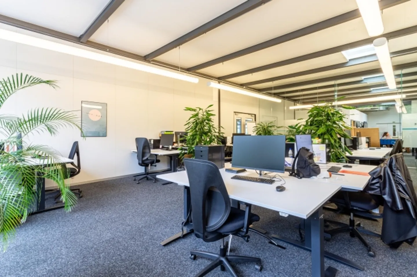 «Gewerbefläche in ausgebautem Zustand mit grosser Zukunft» - Foto 2 von 8