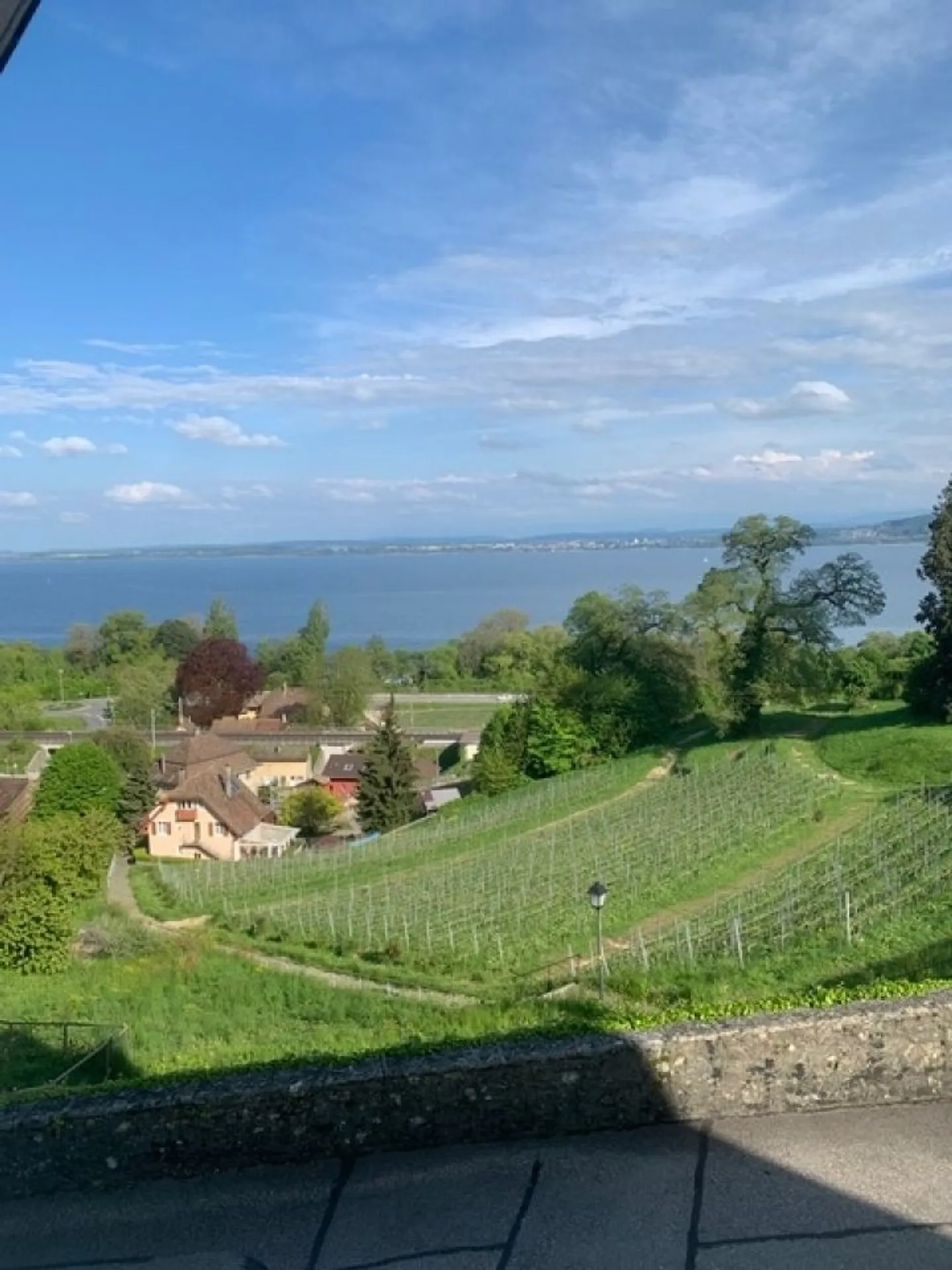 Büro von 26m2 - Foto 2 von 4