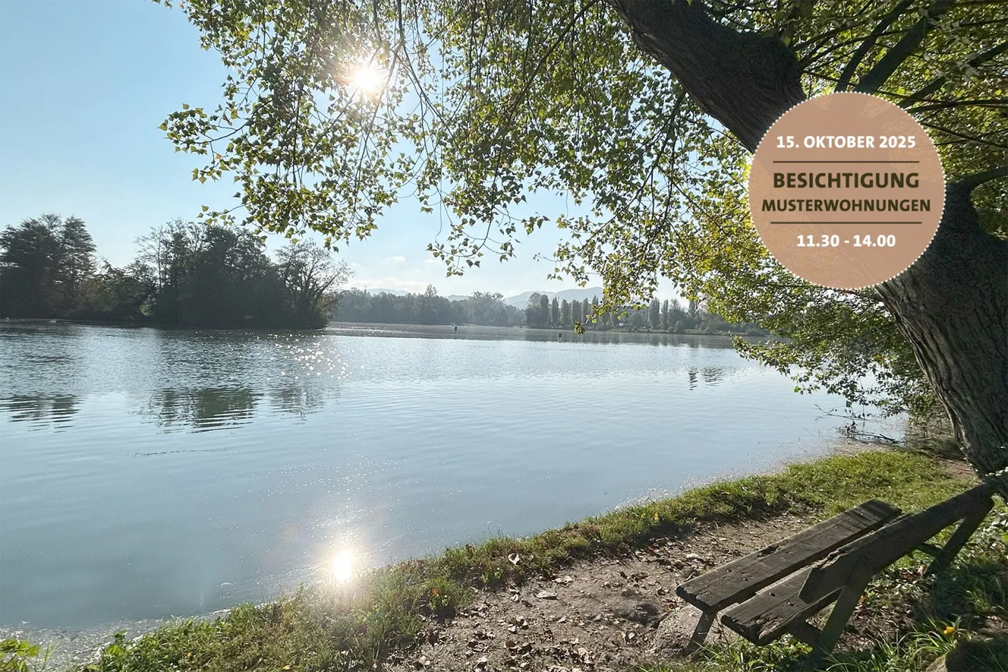 Appartamento nuovo di 4,5 stanze ampliato e pronto per essere abitato - Foto 1 di 11