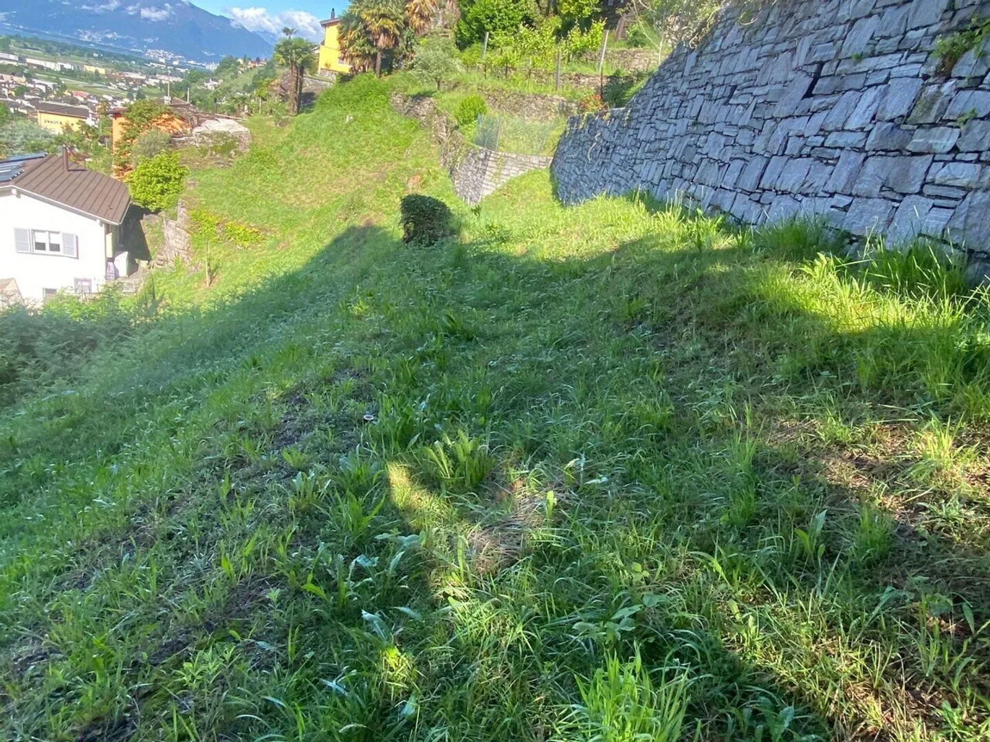 Sonniges Baugrundstück in Cugnasco - Foto 3 von 9