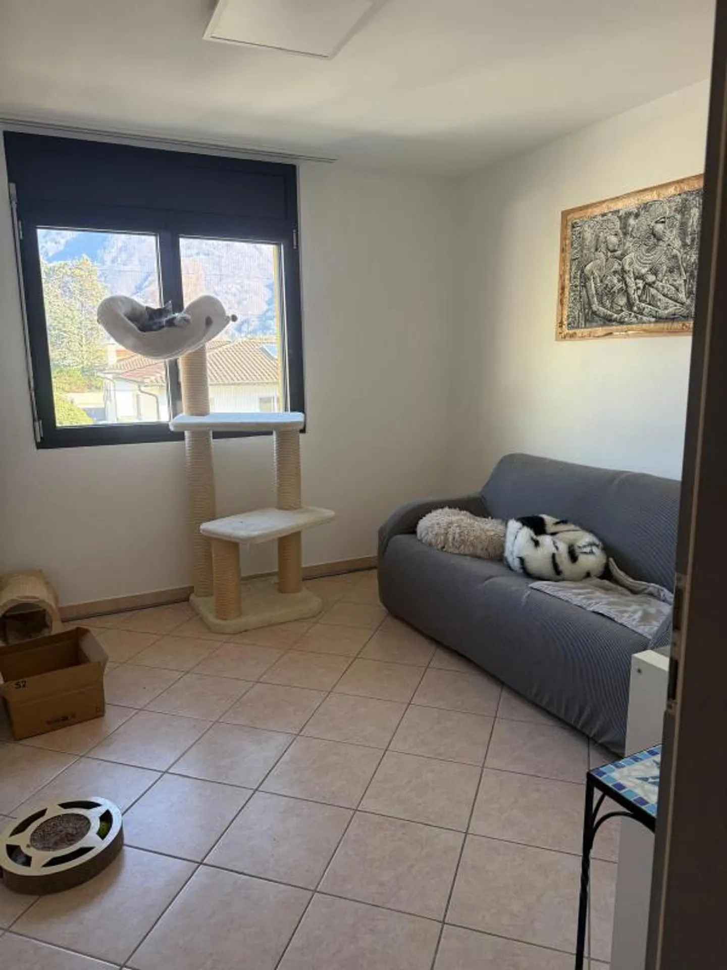 Charming Duplex in Sementina - Photo 5 of 10