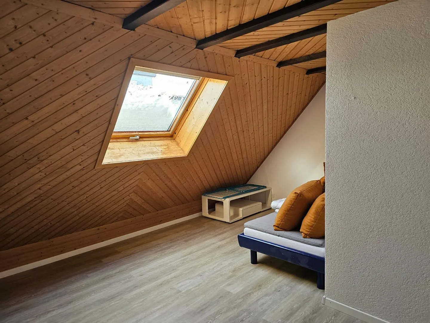 Coinquilino in grande casa con giardino, 3 camere private, bagno - Foto 4 di 7