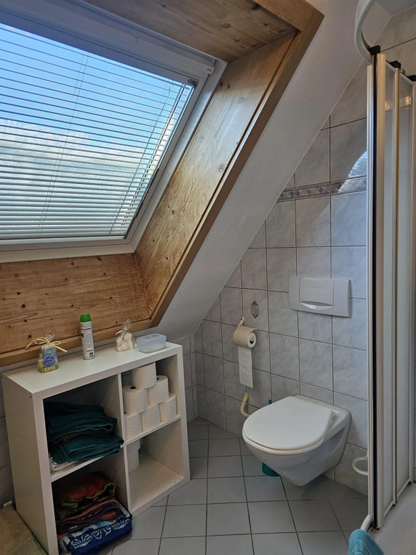 Coinquilino in grande casa con giardino, 3 camere private, bagno - Foto 7 di 7