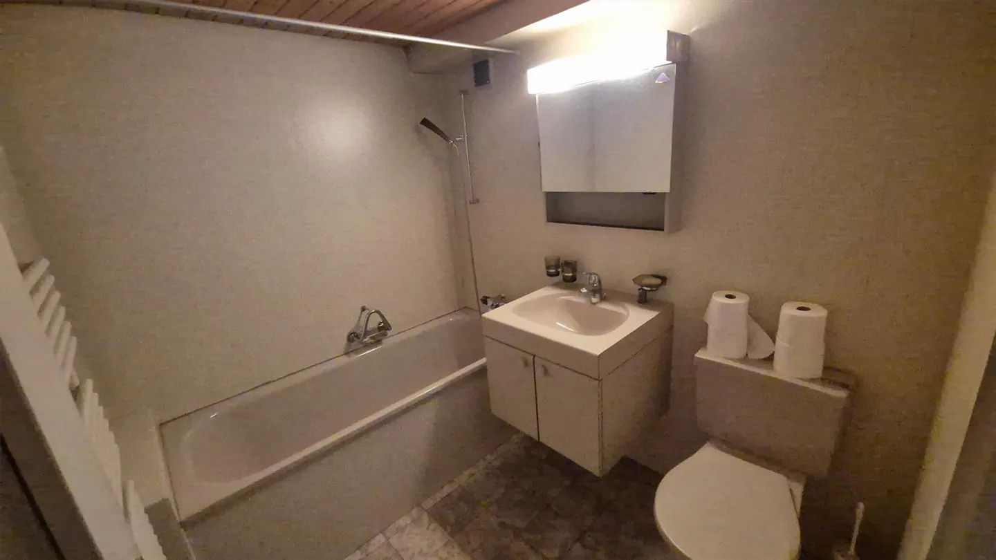 5.5-Room House with Lake View - Ideal for Craftsmen - Photo 5 of 8